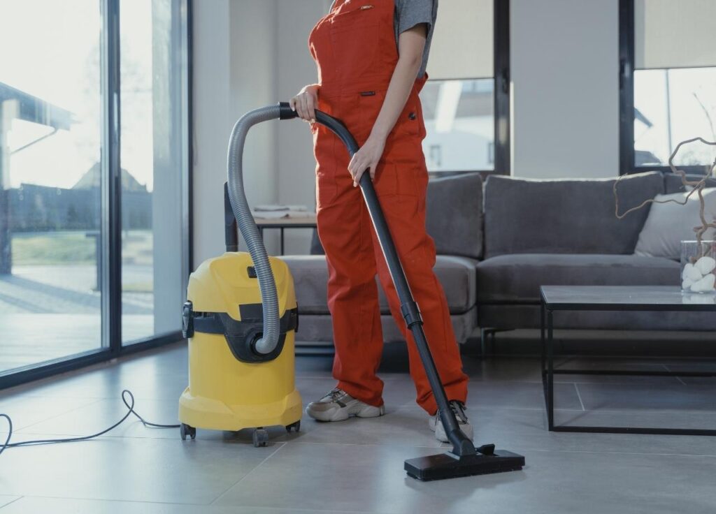 What happens during professional cleaning