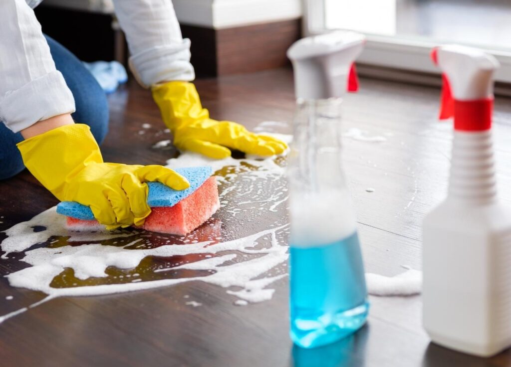 professional house cleaning