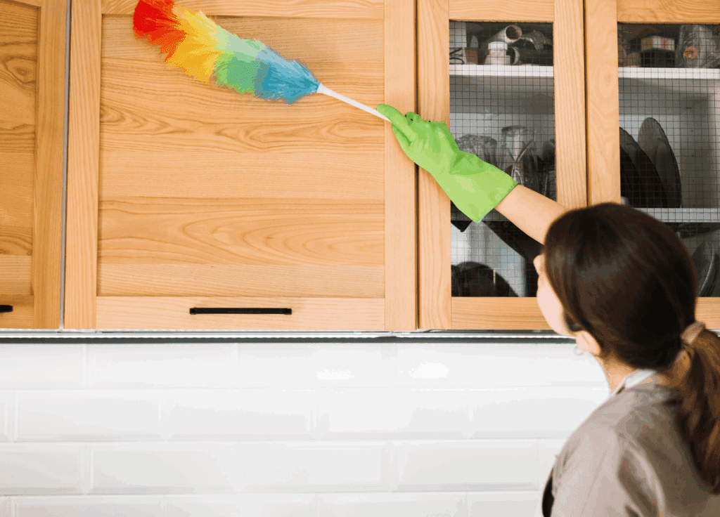 Professional cleaning services for allergens